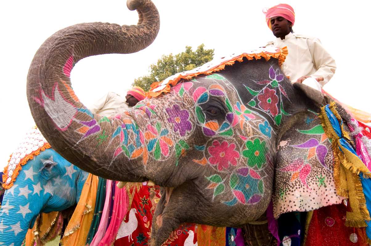 Cultural Exchange Hotspots Where Festivals Blend Tradition and Modernity