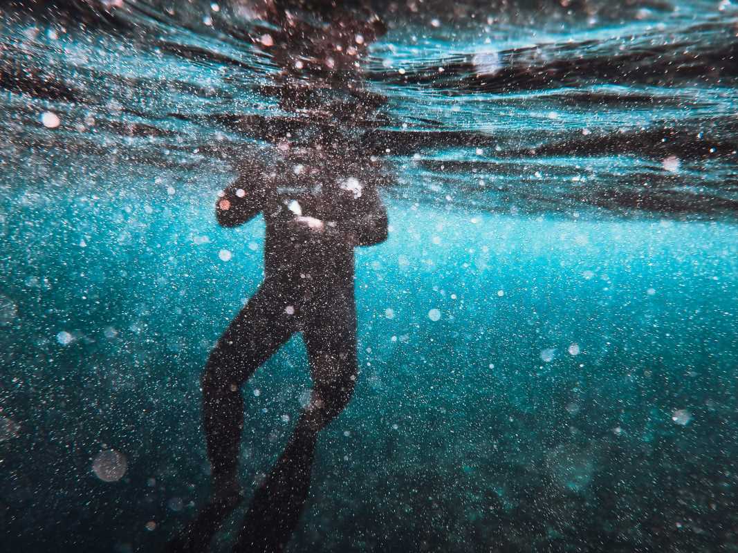 Combine Travel with Marine Conservation Fieldwork in Australia for Adventurous Spirits